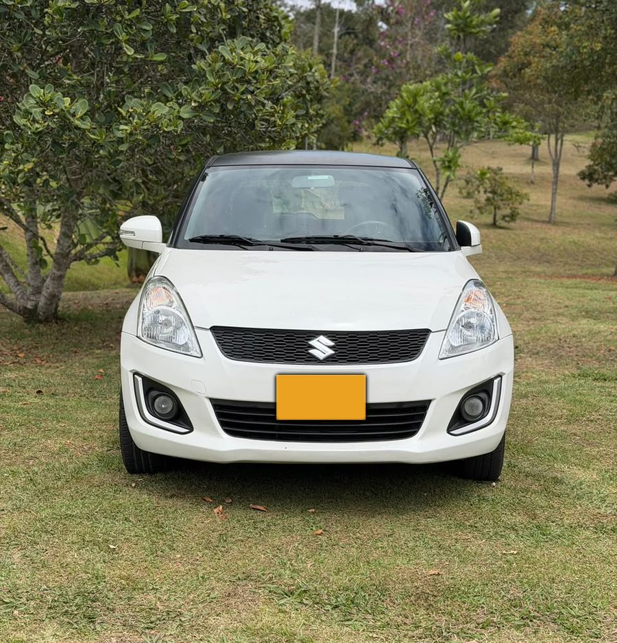 El mismo Suzuki Swift limpio, de frente sobre el pasto